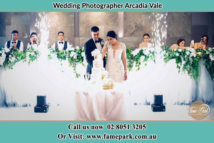 Photo of the Groom and the Bride slicing the cake Arcadia Vale NSW 2283