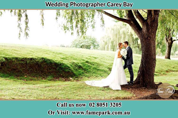 Photo of the Bride and the Groom kissing under the tree Carey Bay NSW 2283