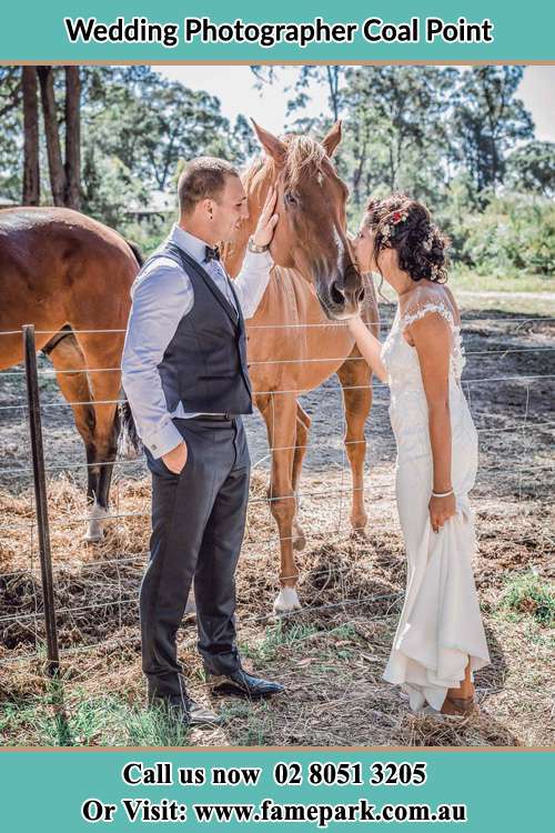 Photo of the Groom and the Bride caressing a horse Coal Point